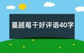 蔓越莓干好評(píng)語(yǔ)40字