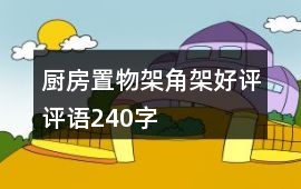 廚房置物架、角架好評評語240字