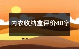 內衣收納盒評價40字