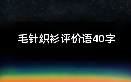 毛針織衫評價語40字
