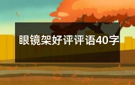 眼鏡架好評評語40字