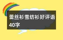 蕾絲衫、雪紡衫好評語40字