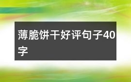 薄脆餅干好評句子40字