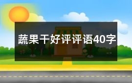 蔬果干好評評語40字