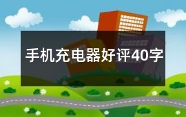 手機充電器好評40字