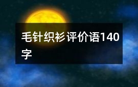 毛針織衫評價語140字