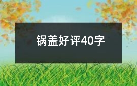 鍋蓋好評(píng)40字