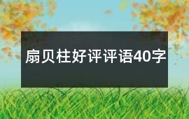 扇貝柱好評評語40字