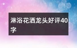 淋浴花灑龍頭好評40字