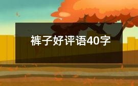 褲子好評(píng)語(yǔ)40字