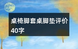 桌椅腳套、桌腳墊評價40字