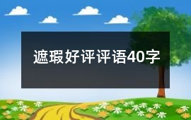 遮瑕好評評語40字