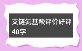 支鏈氨基酸評價好評40字
