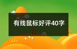 有線鼠標好評40字