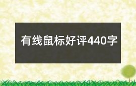 有線鼠標好評440字