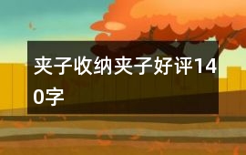 夾子、收納夾子好評140字