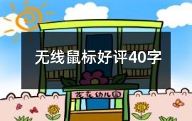 無線鼠標好評40字