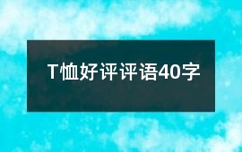 T恤好評評語40字