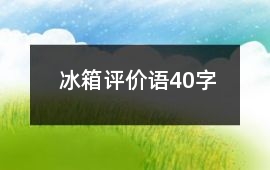 冰箱評價語40字