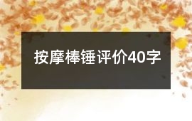 按摩棒、錘評價40字
