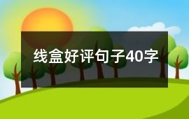 線盒好評(píng)句子40字