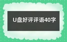 U盤好評評語40字