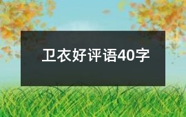 衛(wèi)衣好評(píng)語(yǔ)40字