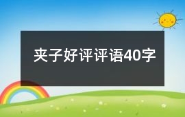 夾子好評評語40字