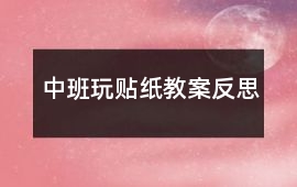 中班玩貼紙教案反思