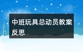 中班玩具總動員教案反思