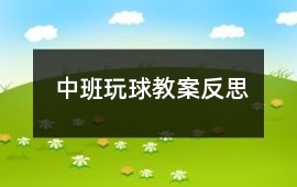 中班玩球教案反思