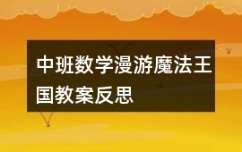中班數(shù)學漫游魔法王國教案反思