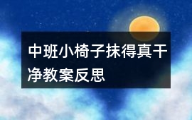 中班小椅子抹得真干凈教案反思