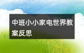 中班小小家電世界教案反思