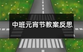 中班元宵節(jié)教案反思