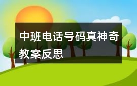 中班電話號碼真神奇教案反思
