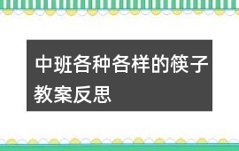 中班各種各樣的筷子教案反思