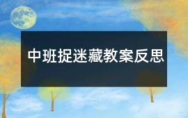 中班捉迷藏教案反思