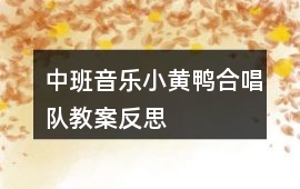 中班音樂小黃鴨合唱隊教案反思