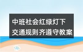 中班社會紅綠燈下 交通規則齊遵守教案反思