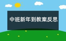 中班新年到教案反思