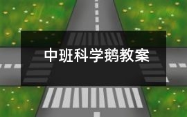 中班科學(xué)鵝教案