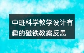 中班科學教學設計有趣的磁鐵教案反思