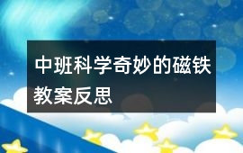 中班科學奇妙的磁鐵教案反思