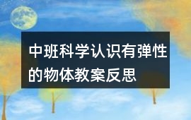 中班科學認識有彈性的物體教案反思