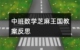 中班數學芝麻王國教案反思