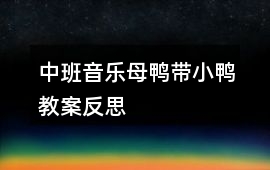 中班音樂母鴨帶小鴨教案反思