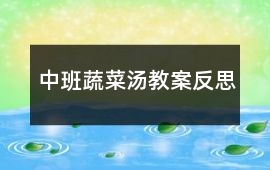 中班蔬菜湯教案反思