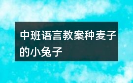 中班語言教案種麥子的小兔子