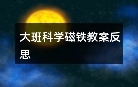 大班科學磁鐵教案反思